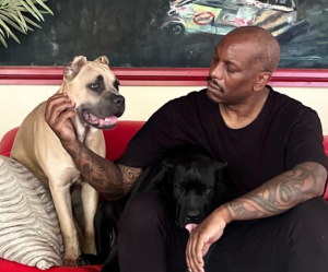 Tyrese Gibson Charged After Dog Kills Neighbor’s Pet